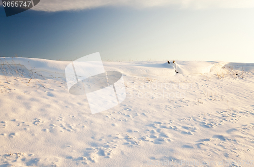 Image of the field covered with snow  