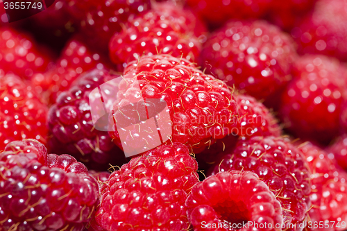 Image of   ripe red raspberries.