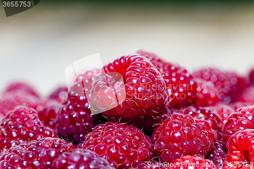 Image of ripe raspberries   close-up  
