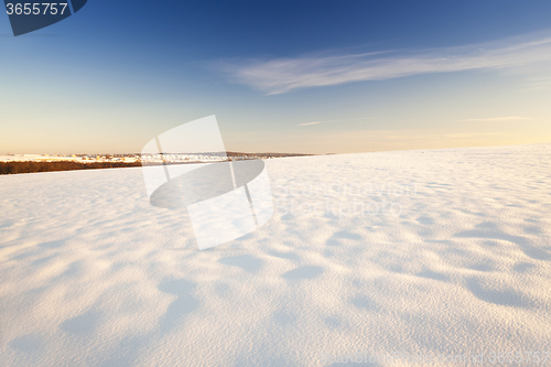 Image of the field covered with snow  