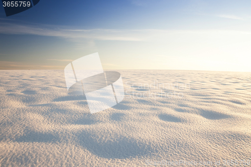 Image of snow covered field 