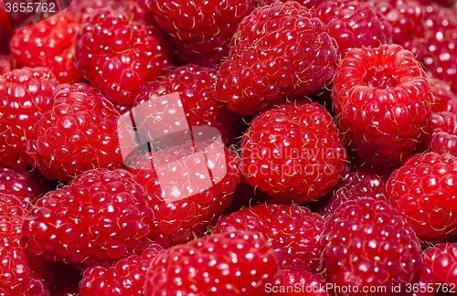 Image of red raspberry   close-up  