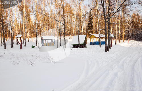 Image of trees in winter  