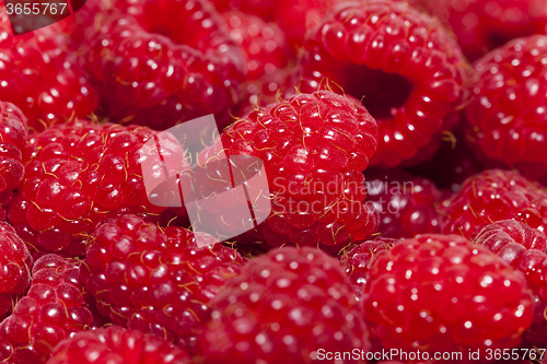 Image of ripe raspberries   close-up 