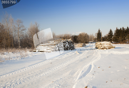Image of felled trees .  snow