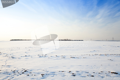 Image of snow covered field  