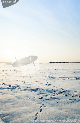 Image of the field covered with snow  