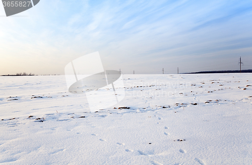 Image of snow covered field  