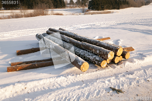 Image of felled trees .  snow