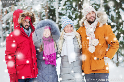 Image of group of smiling men and women in winter forest