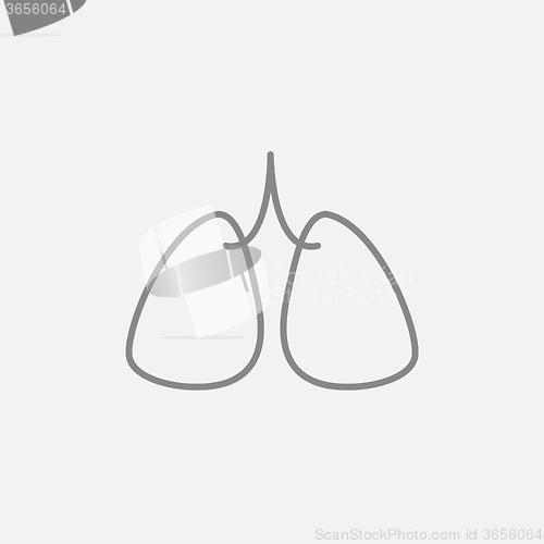 Image of Lungs line icon.