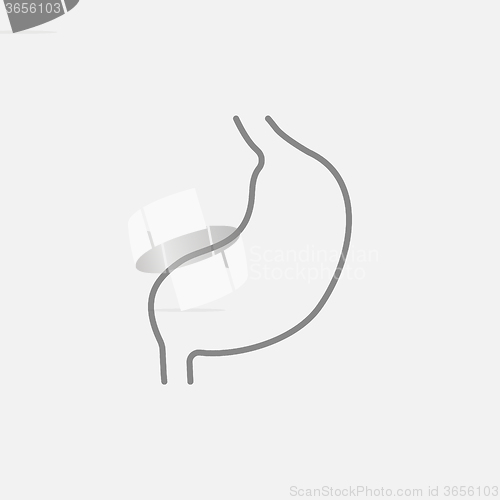 Image of Stomach line icon.