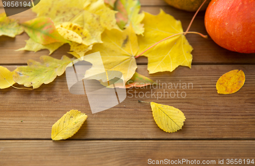 Image of close up of pumpkins on wooden table at home