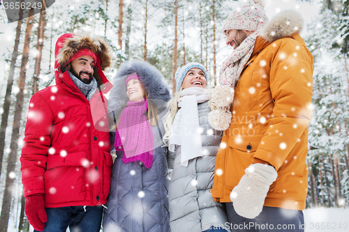 Image of group of smiling men and women in winter forest