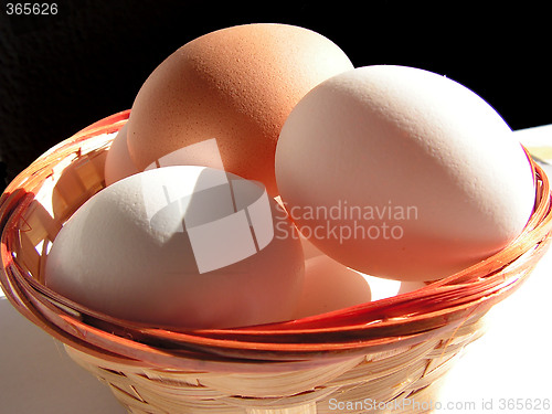 Image of Eggs 1