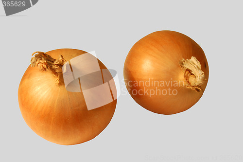 Image of Two onions