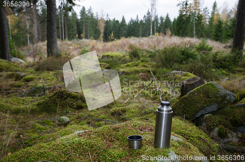 Image of Steel thermos on a rock in forest
