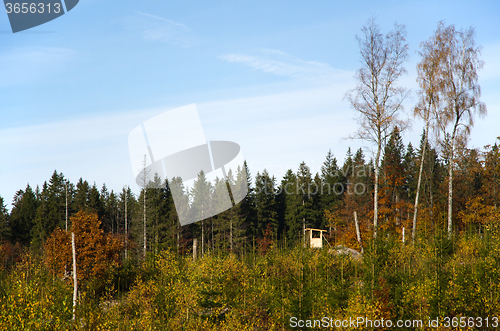 Image of Sunlit hunting tower