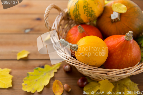 Image of close up of pumpkins in basket on wooden table