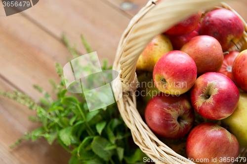 Image of close up of basket with apples and herbs on table