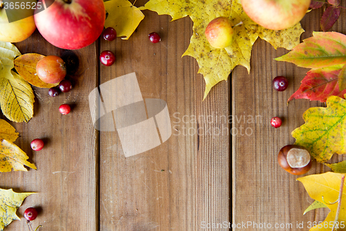 Image of frame of autumn leaves, fruits and berries on wood