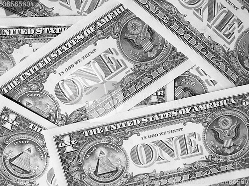 Image of Black and white Dollar notes 1 Dollar