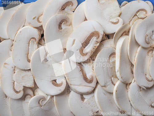 Image of Champignon mushrooms background