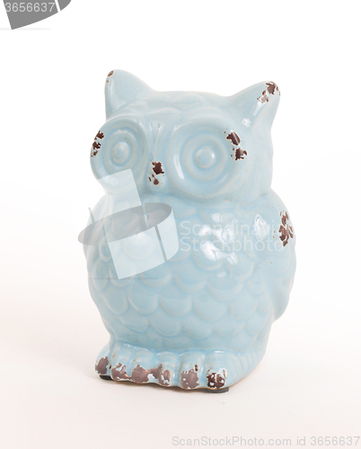 Image of Blue owl gift, isolated