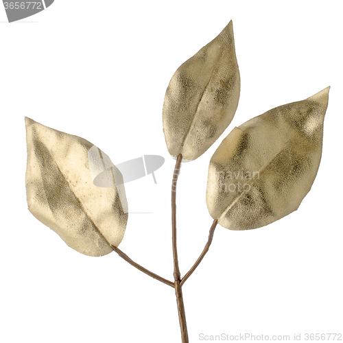 Image of Christmas decorative golden leaves
