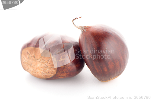 Image of Chestnuts with shell 