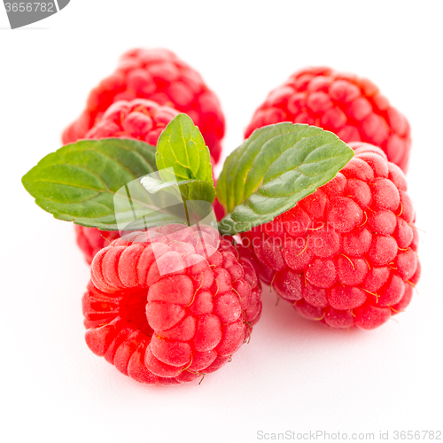 Image of Ripe raspberry with leaf