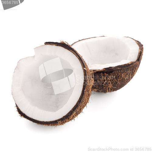 Image of Coconut