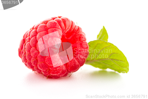 Image of Ripe raspberry with leaf