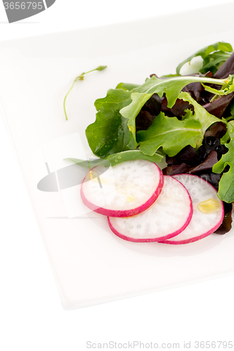 Image of Tasty Greek salad