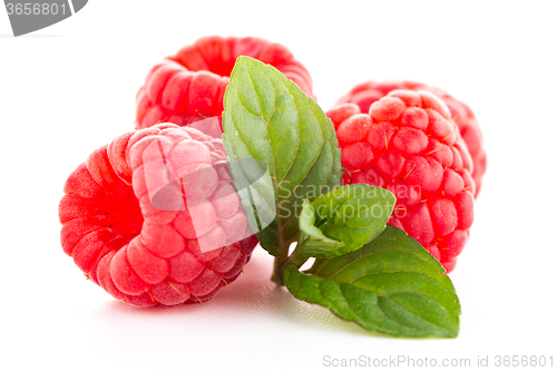 Image of Ripe raspberry with leaf