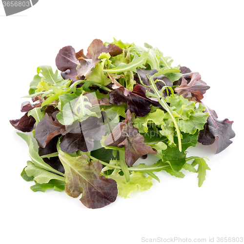 Image of Fresh salad mix