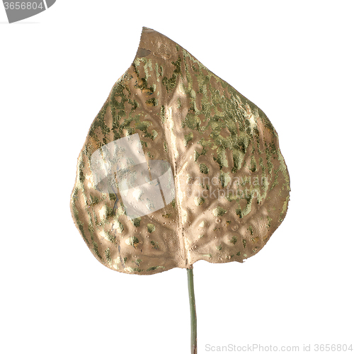 Image of Beautiful decorative golden leaf 