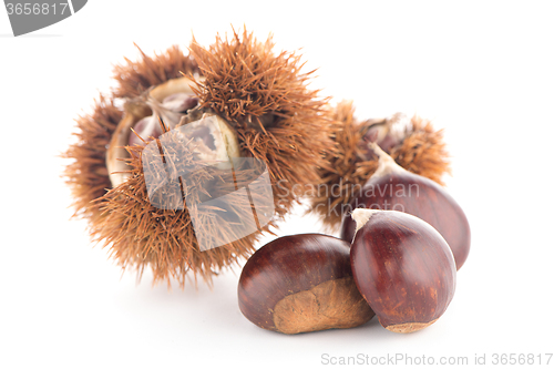 Image of Chestnuts with shell 