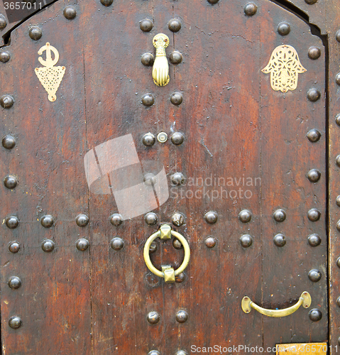 Image of historical in  antique building door morocco style africa   wood