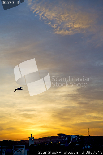 Image of light  the sunrise in  colored bird  background