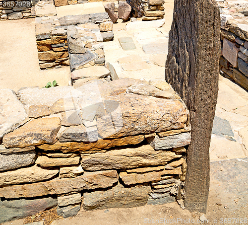 Image of bush   in delos greece the historycal acropolis and old ruin sit