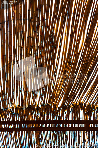 Image of morocco abstract   in the  africa   