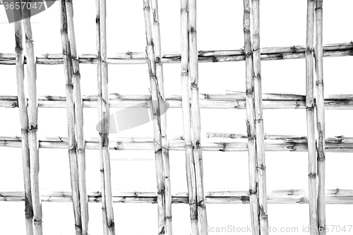 Image of morocco abstract bamboo roof in the  africa  sky