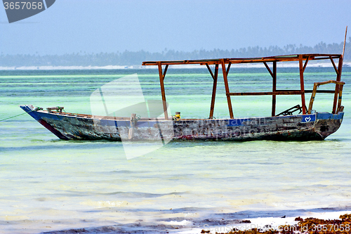 Image of beach   zanzibar seaweed love