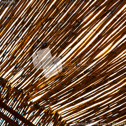 Image of morocco abstract bamboo roof in the  africa  sky