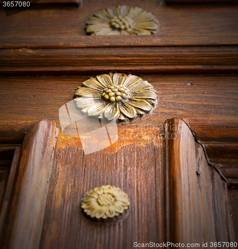 Image of abstract  rusty brass brown knocker gallarate varese 