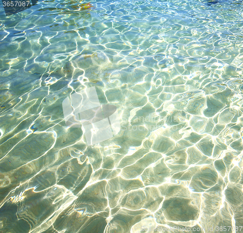 Image of thailand kho tao   in water   south china sea