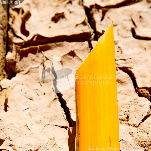 Image of cracked sand in morocco africa desert abstract macro bark