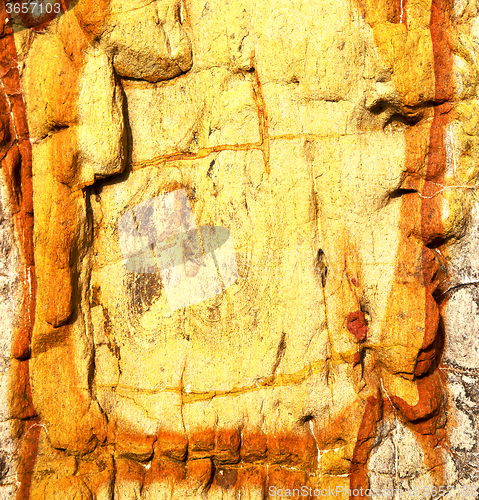 Image of  texture rock a  stone and lichens 