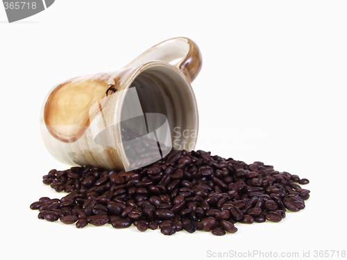 Image of Spilled the Beans